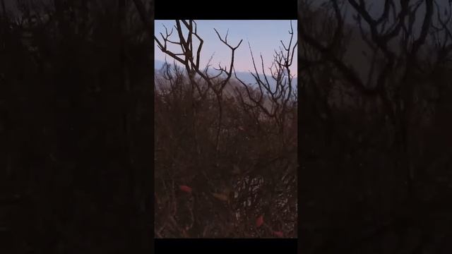 Боевой карабин начале Фаллаут 4 #stalker #games #gaming #fallout #csgo #fallout4 #секрет #сталкер