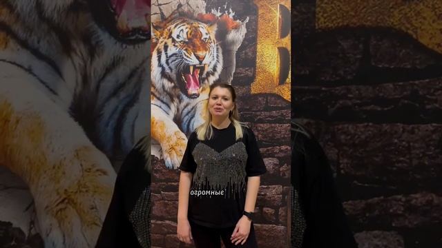 15-летие в Форт Боярд,  Белгород
