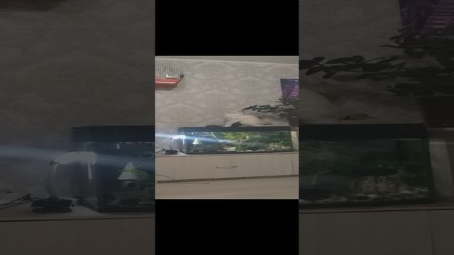 20241112_170553.mp4
