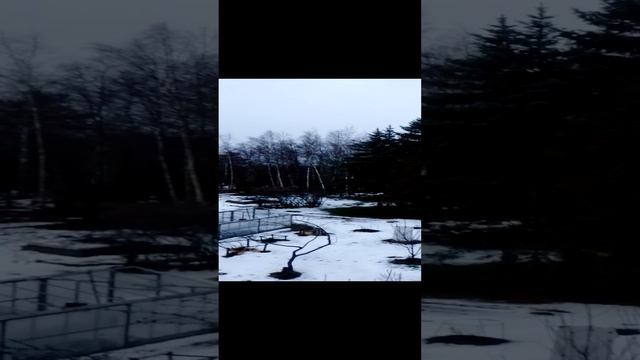 ветер, зимняя оттепель