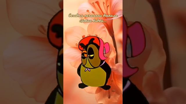 1000105554.mp4
