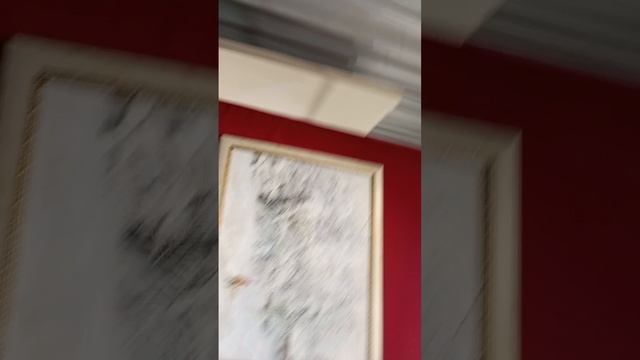 Бороздин.яблони в снегу