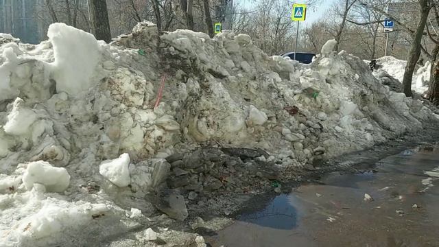 Нашли на всей улице только одно место для свалки снега где неделю назад спилили 2 больших дерева