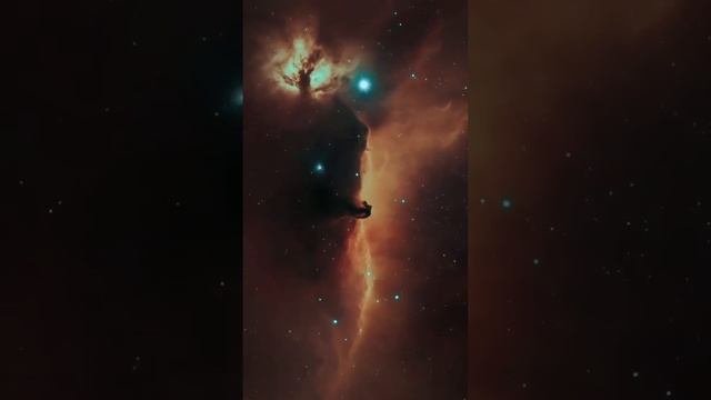 telescope to take a picture of the Horsehead and Flame Nebulae @bostronomy