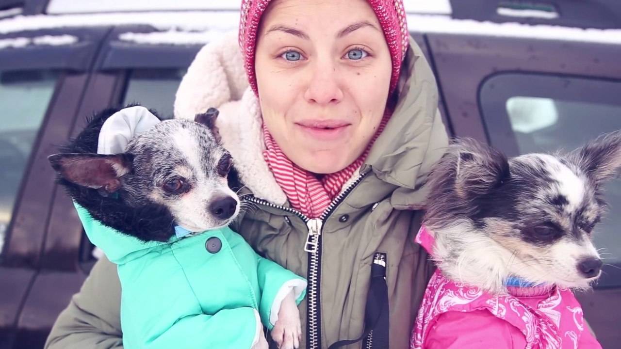 МОЙ ДЕНЬ | СОБАКИ, ЩЕНКИ, КОШКИ, ДРУГИЕ ЖИВОТНЫЕ | КАНИКУЛЫ У БАБУШКИ