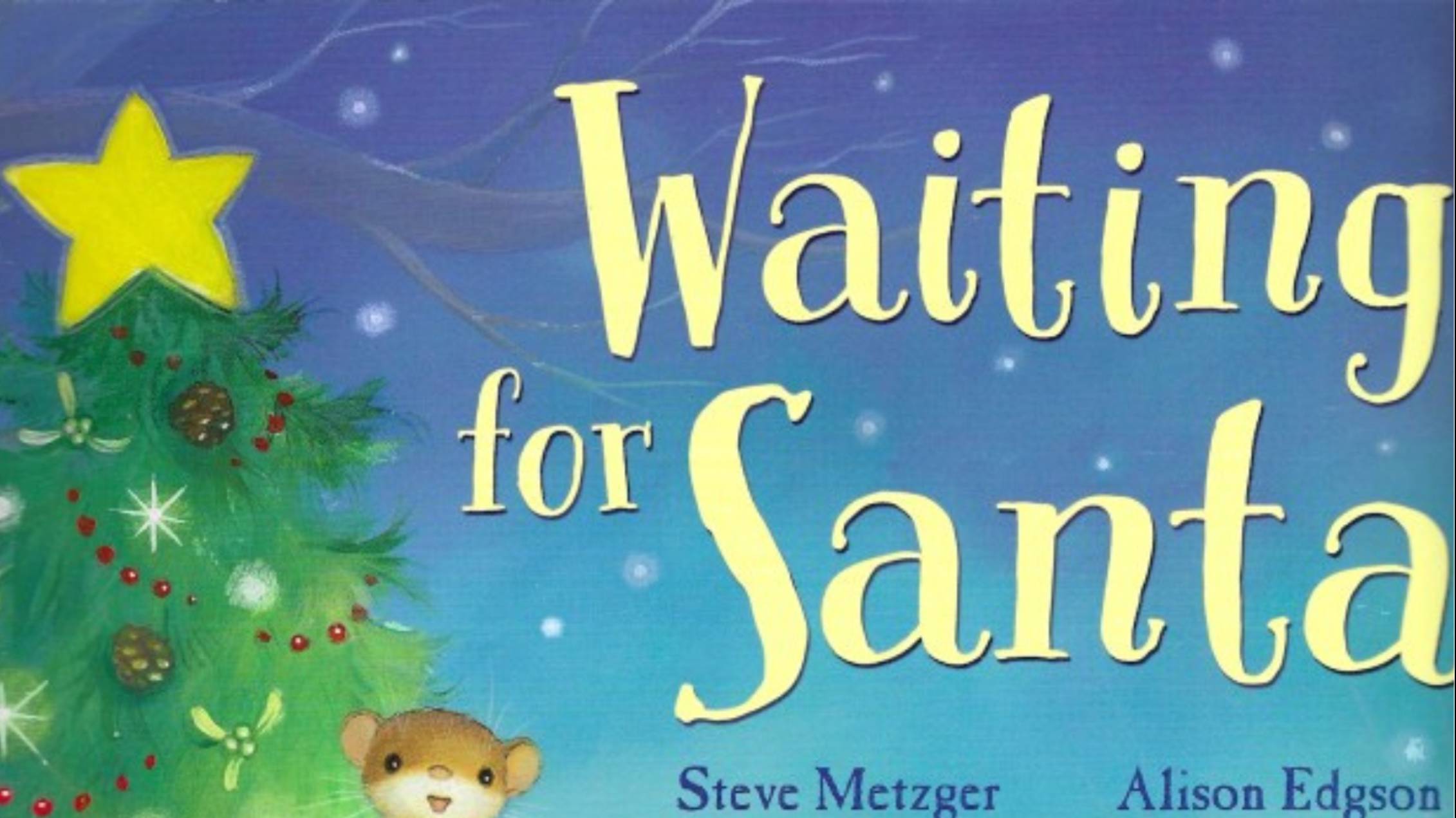 Waiting for Santa by Steve Metzger and Alison Edgson