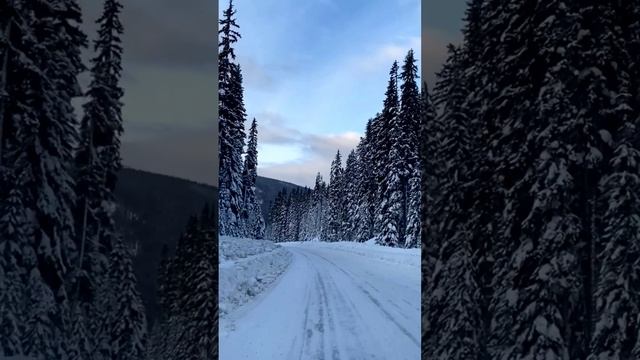 ❄ Саундтрек этого Нового года. «00:01» — Музыкальная пауза