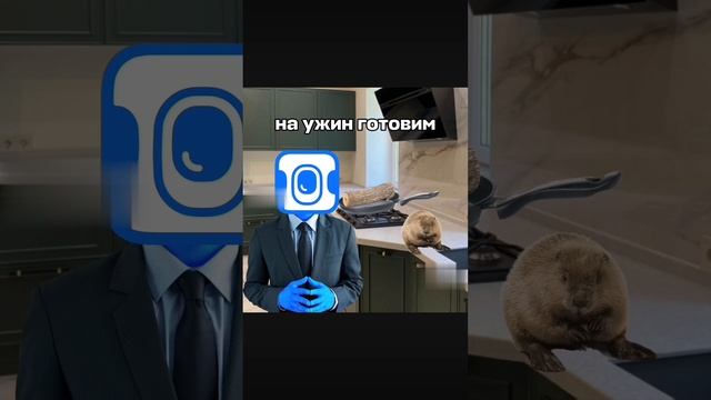 1000011201.mp4