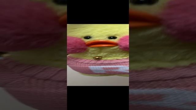 Crazy лалафанфан))