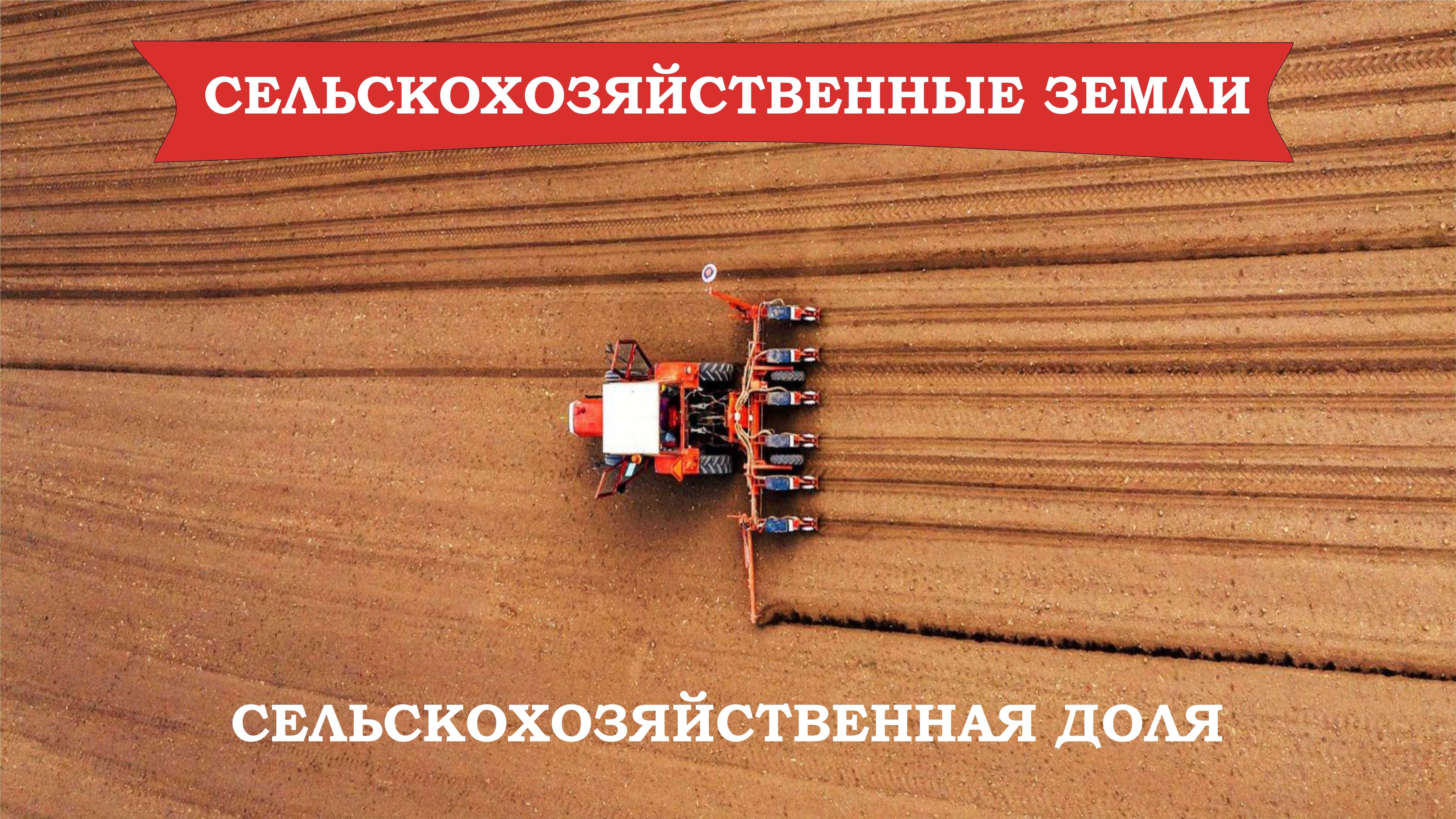 Сельскохозяйственные земли. Невостребованная доля. Выдел доли.