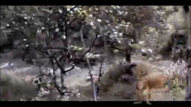 Плашка До Нового Года осталось 40:58:39 (2024-2025) Первый Канал