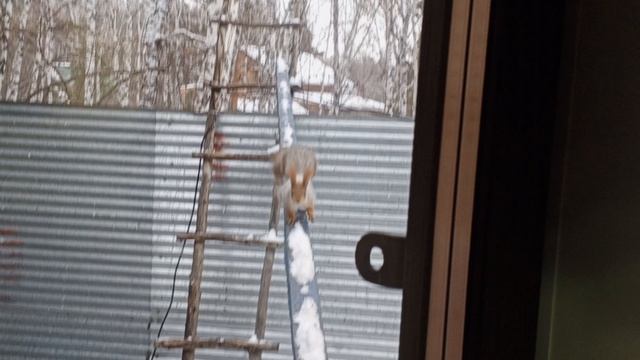 1000336252.mp4