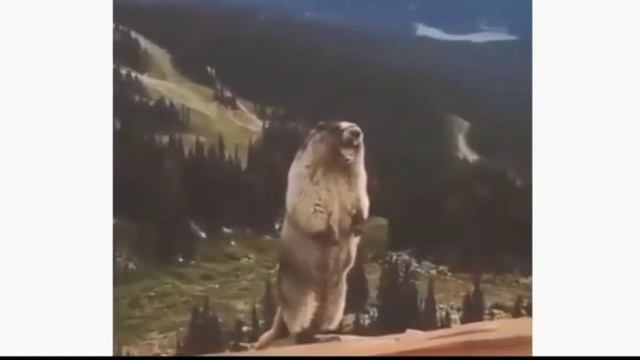 Поздравление с Новым годом от ИТС