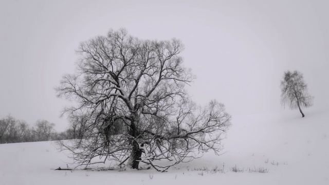 "А В ЭТО ВРЕМЯ В БАШКИРИИ"... (Фото Светланы УРМАНЦЕВОЙ (Уфа), музыка Эндрю СКИТА (Великобритания)