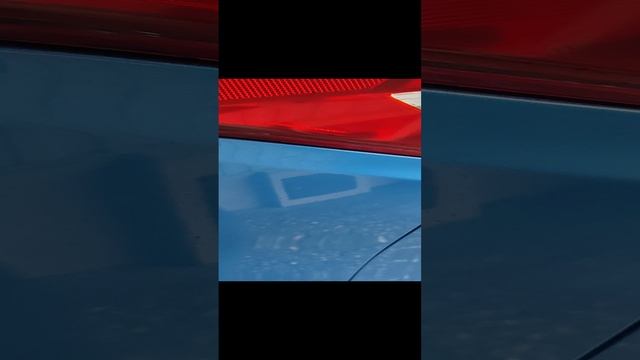 1000426835.mp4
