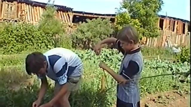 вбалонерыбалкамуз