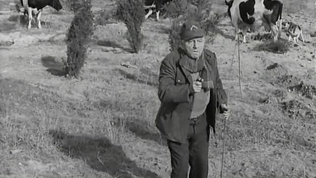 16. Дальний дозор (Daleki patrol)