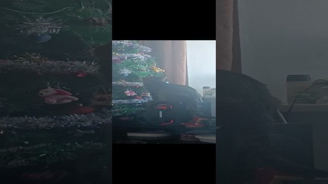 хитрожопый.mp4