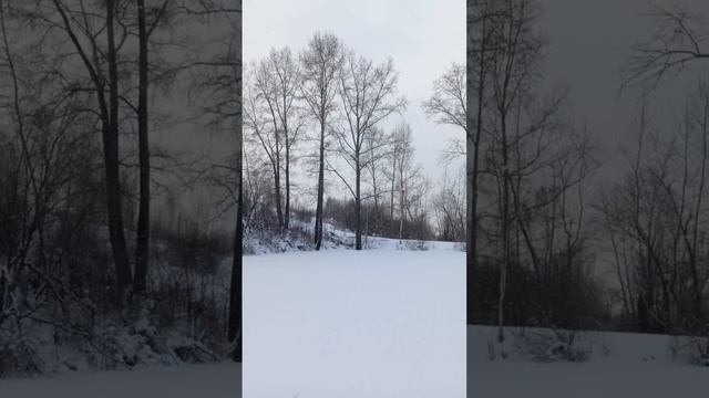 прогулка
