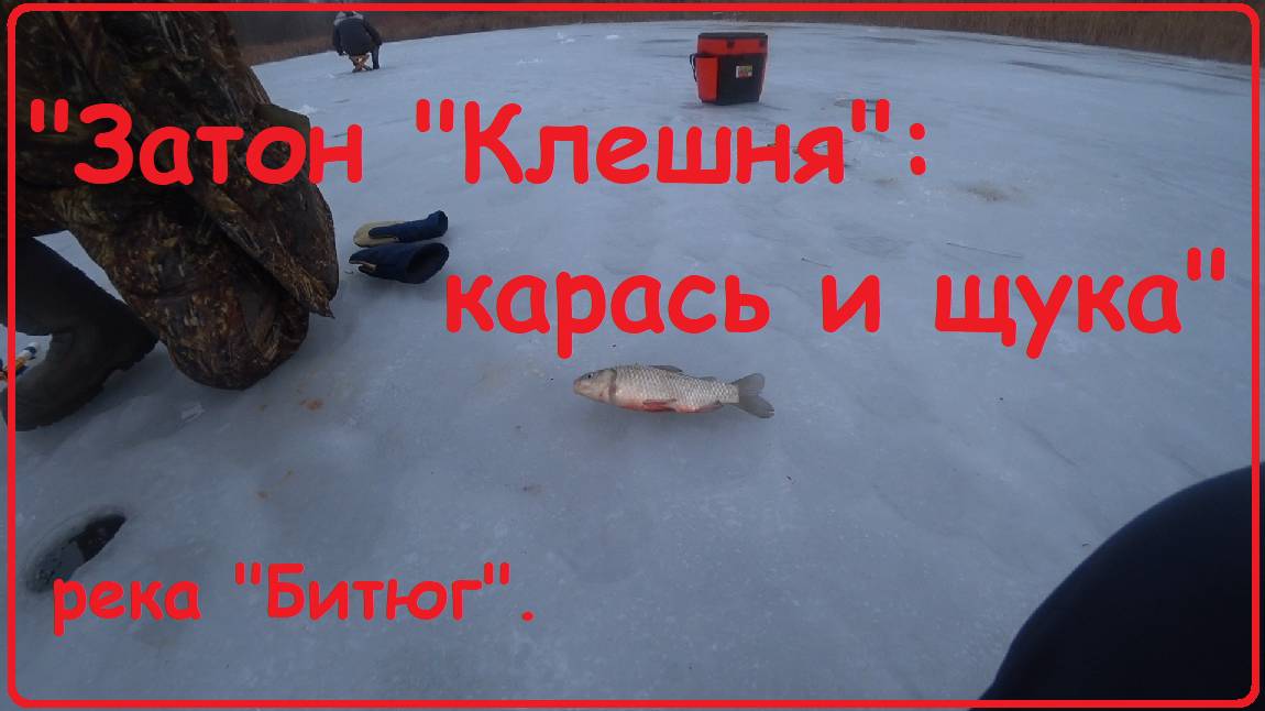 "Затон "Клешня": карась и щука".