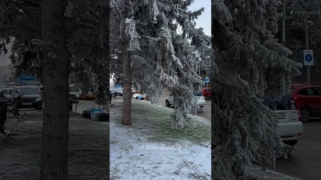 ❄️ 🌲 ❄️