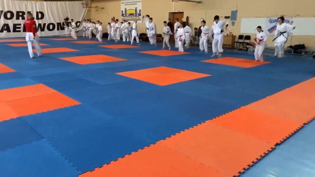 Денис Клюев, семинар по кумитэ в г. Омск. Декабрь 2022г