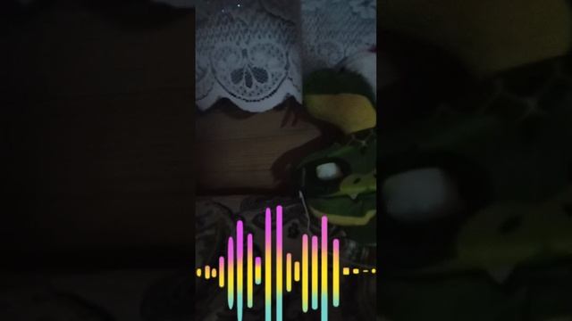 ответы на загатки кобры