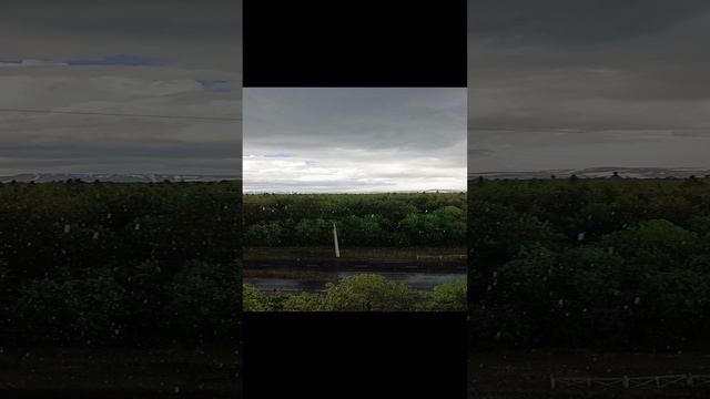 Лето / дождь
