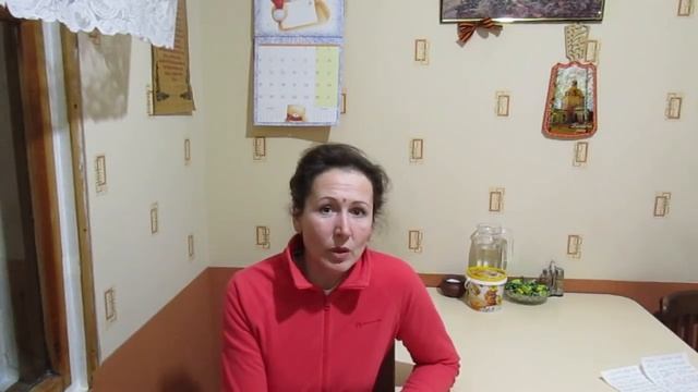 Бакфаст в Ярославле