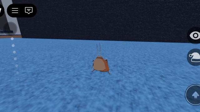 двдвд