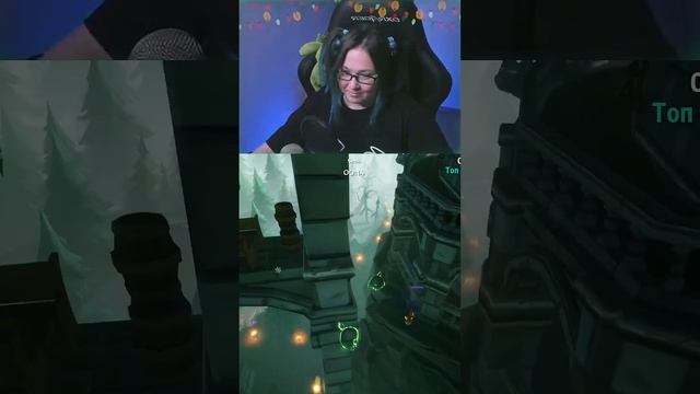 Ворона могёт