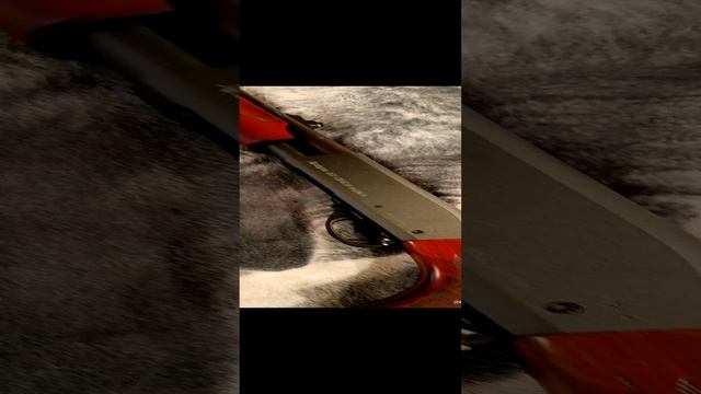 Remington 870 Express magnum