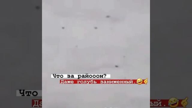 Заниженный голубь