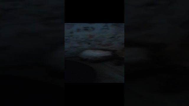 VID_20241230_103224.mp4