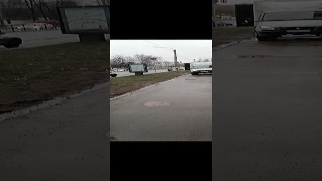 VID_20241229_114744.mp4
