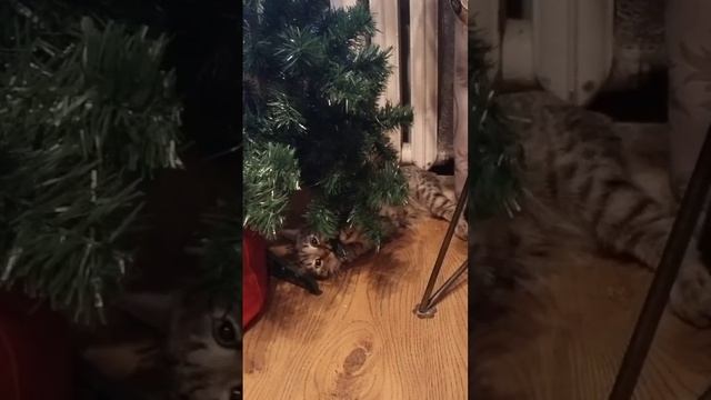 С Новым годом!