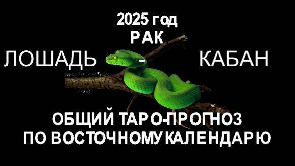ОБЩИЙ ТАРО-ПРОГНОЗ НА 2025 ГОД ПОВОСТОЧНОМУ КАЛЕНДАРЮ. РАК (ЛОШАДЬ-КАБАН)