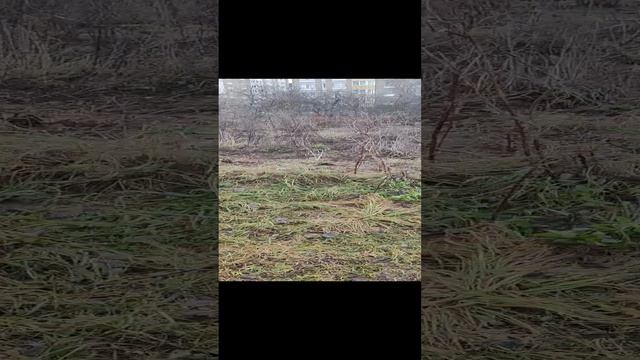 вот такой декабрь