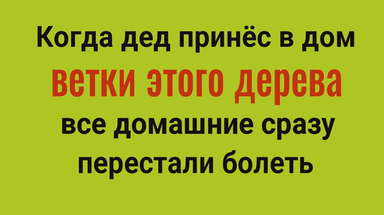 Из дома уйдёт порча и болезни. Принесите в дом ветки этого дерева