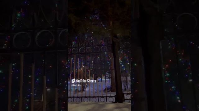 Всех с наступающим Новым Годом 🎄 🎁 🎆 ❄️👍