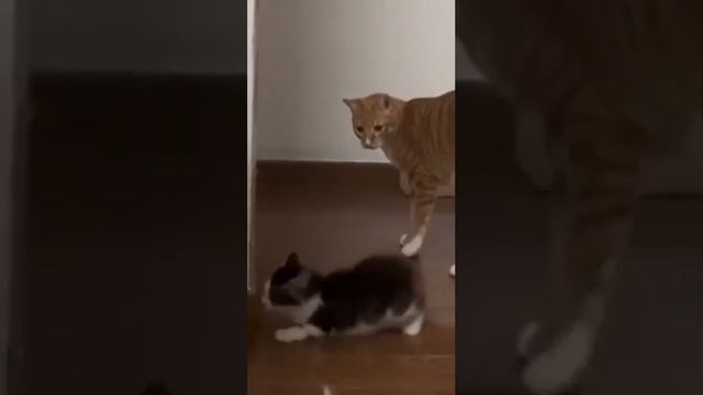 Провал 😃