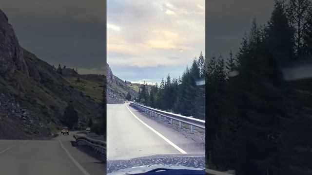 Дороги Алтая за 60 секунд)))