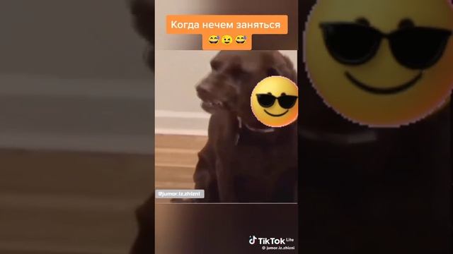 КОГДА НЕЧЕМ ЗАНЯТСЯ🤣🤣🤣