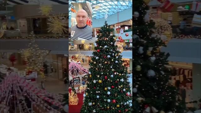 С наступающим 2025 Новым годом🌲