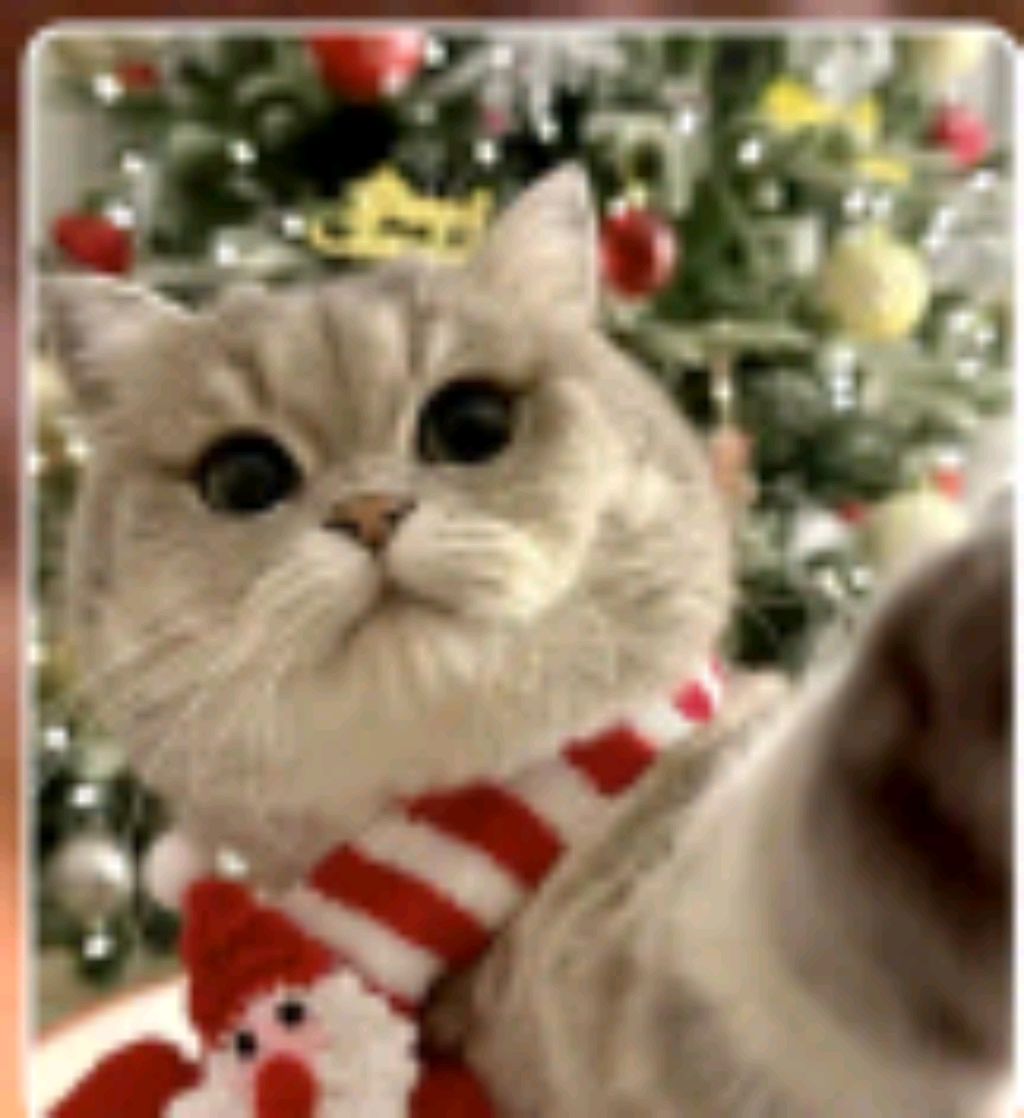 захд