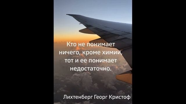 7 Афоризмов на тему глупость