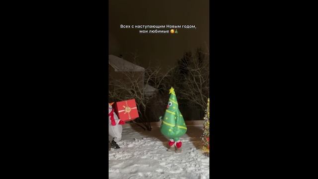 Всех с наступающим Новым годом, мои хорошие 🎄🫶