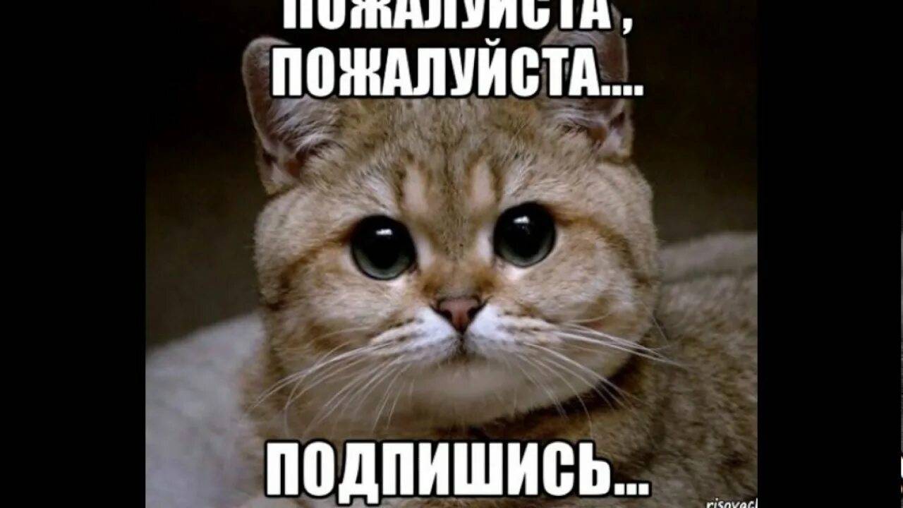Утро понедельника…

(Со звуком)