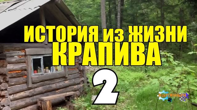 0113 СЕРИАЛ ИСТОРИИ ИЗ ЖИЗНИ ВСЕ СЕРИИ СУДЬБА ЧЕЛОВЕКА ЖИЗНЬ в ТАЙГЕ ОТШЕЛЬНИК ПРОМЫСЕЛ в ЛЕСУ