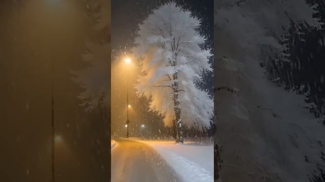 Без тебя..